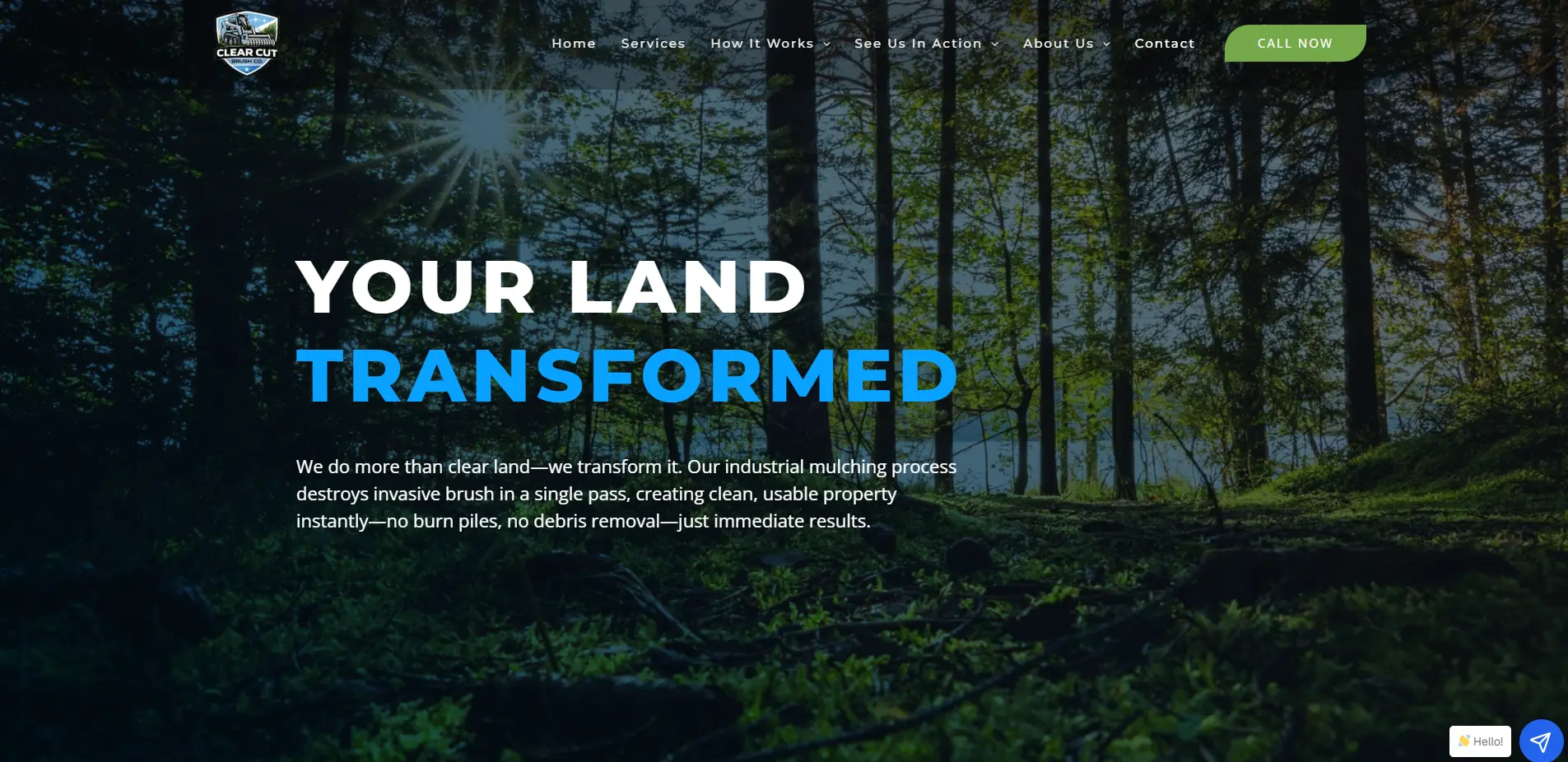 Clear Cut Brush WordPress project